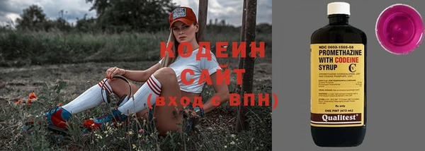прущие грибы Богородск