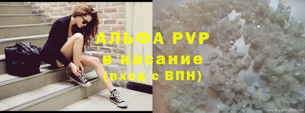 прущие грибы Богородск