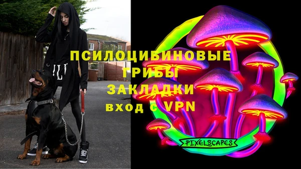 прущие грибы Богородск