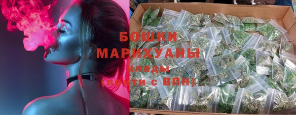 прущие грибы Богородск