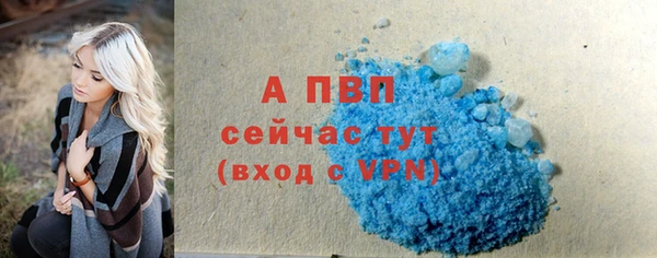 дживик Богданович