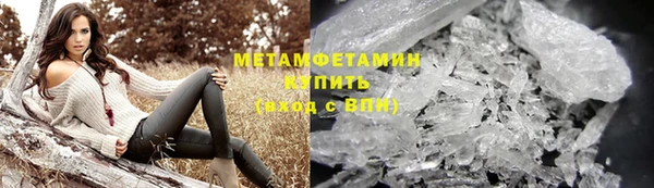 прущие грибы Богородск
