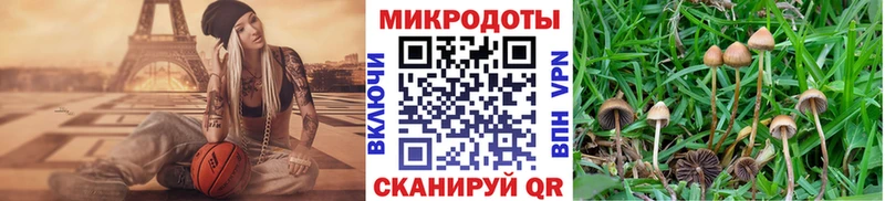 Псилоцибиновые грибы Psilocybine cubensis даркнет клад Реж